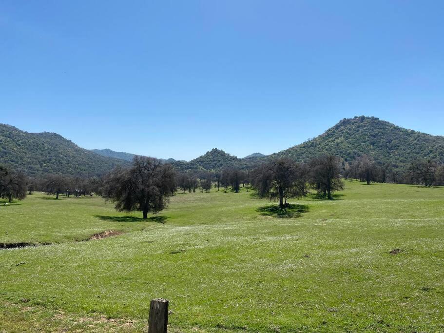 Waxberry Getaway Sequoia/Kings Canyon National Pks وادي سكوا المظهر الخارجي الصورة