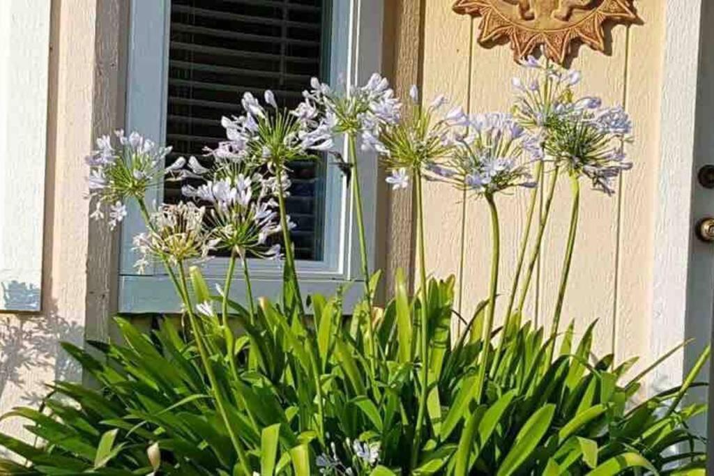Waxberry Getaway Sequoia/Kings Canyon National Pks وادي سكوا المظهر الخارجي الصورة