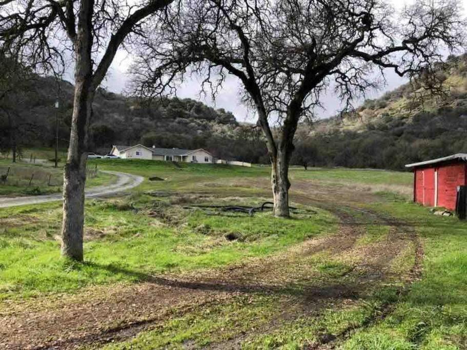 Waxberry Getaway Sequoia/Kings Canyon National Pks وادي سكوا المظهر الخارجي الصورة